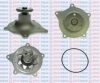 AQUAPLUS 85-7320 Water Pump